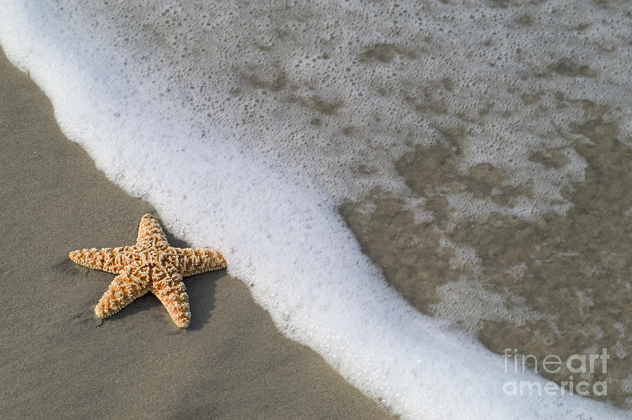 Sand Patterns Photograph by Dana Edmunds - Printscapes