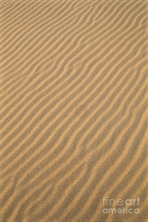 Sand Patterns Photograph by Greg Vaughn - Printscapes