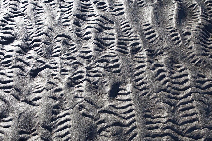 Sand Patterns Photograph by Michele Cornelius