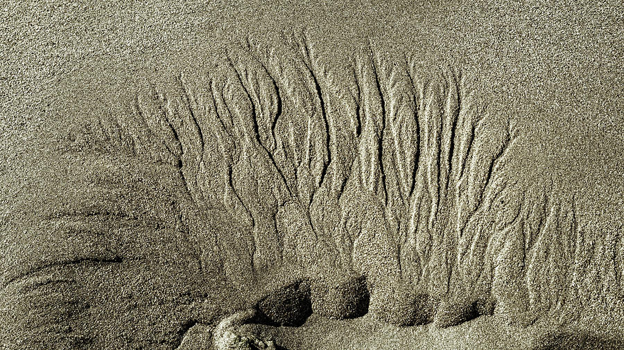 Sand Patterns on the Beach  1 Photograph by Steven Ralser