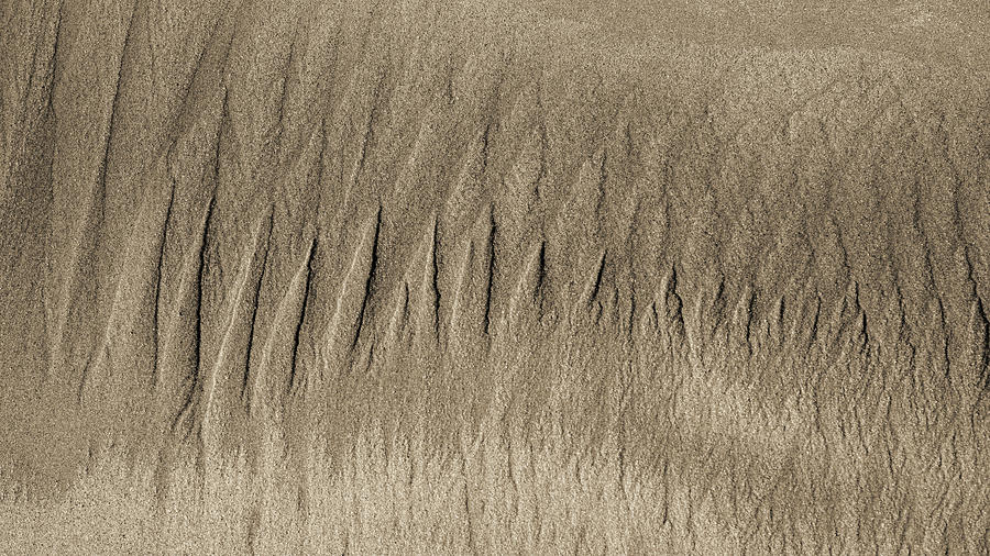 Sand Patterns on the Beach 3 Photograph by Steven Ralser
