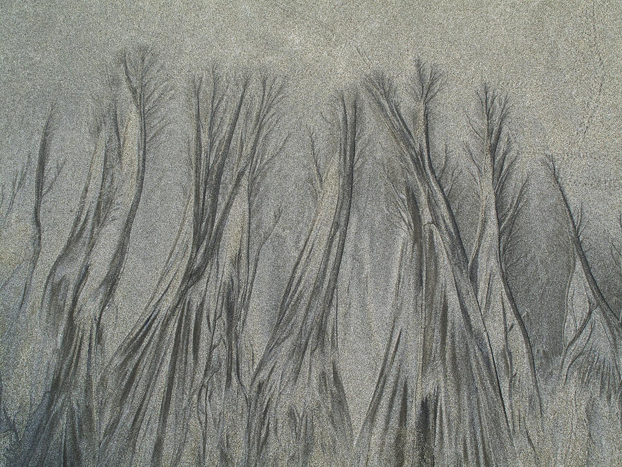 Sand Reels Photograph by Joe  Palermo