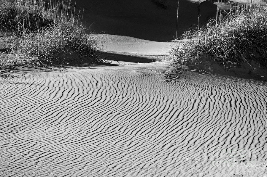 Sand Ridges 2 Photograph by Bob Phillips