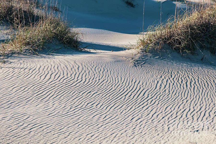 Sand Ridges Photograph by Bob Phillips