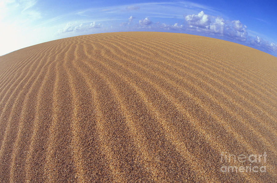Sand Ridges Photograph by Carl Shaneff - Printscapes