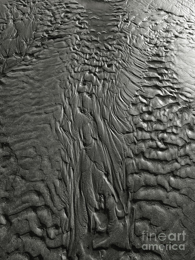 Sand Riples Photograph by Nicholas Burningham