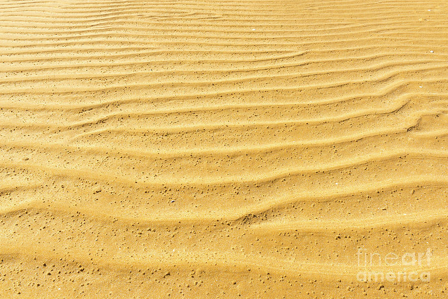 Nature Photograph - Sand Ripple Texture by THP Creative