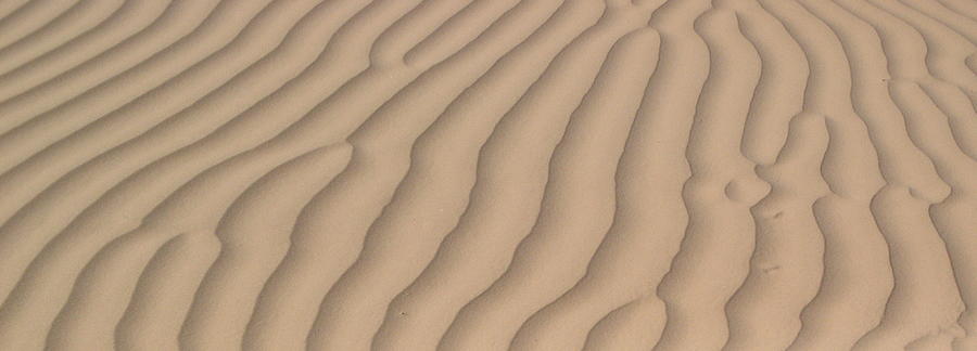 Desert Photograph - Sand Ripples by Allison Whitener
