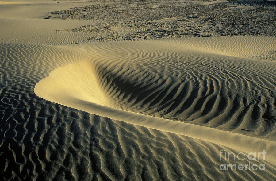 Sand Ripples Photograph by Jim And Emily Bush