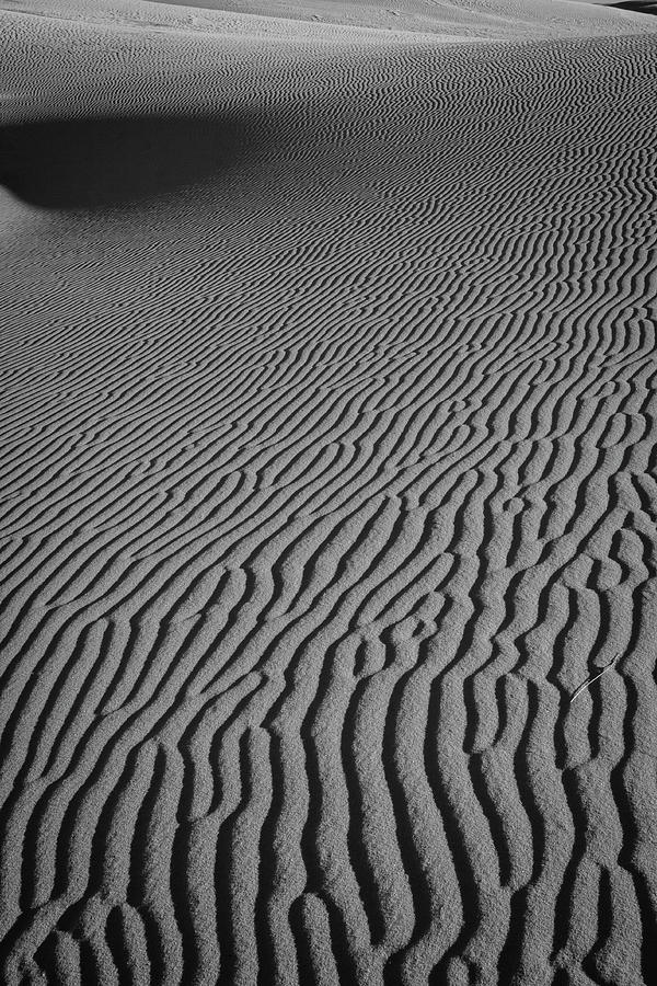 Sand Ripples Photograph by Marc Hathaway - Fine Art America