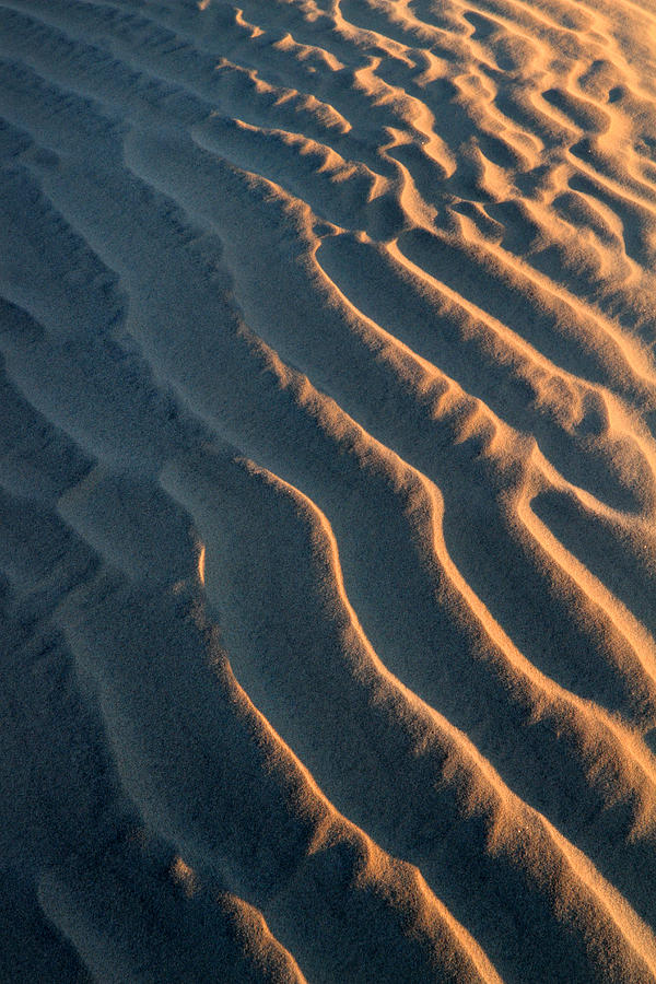 Sand ripples Photograph by Pierre Leclerc Photography