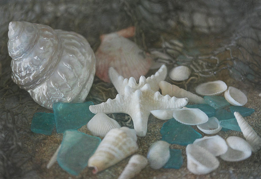 Sand, Shells, and Sea Glass 9870 Photograph by Teresa Wilson