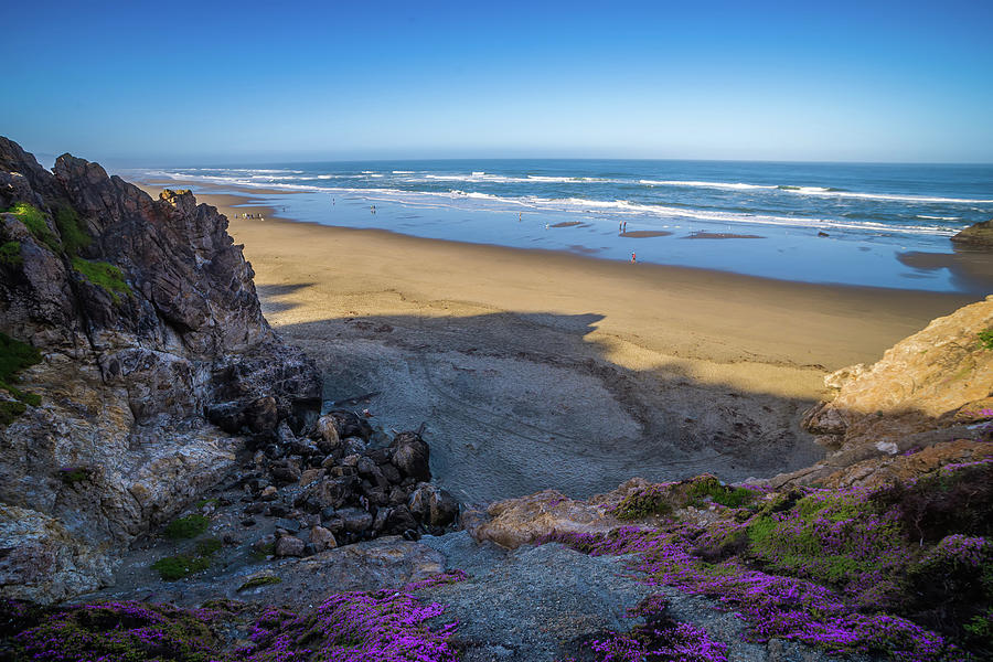 Sand shore and ocean in San Francisco  Photograph by Alex Grichenko