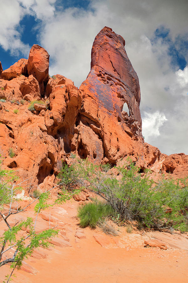 Sand Stone Monolith Valley Of Fire Photograph by Frank Wilson