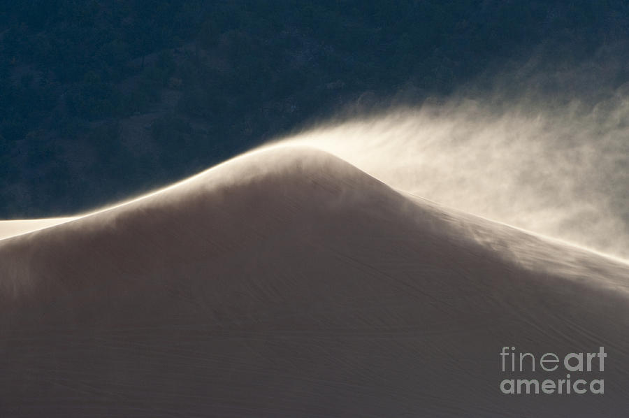 Sand Storm Photograph by Sandra Bronstein