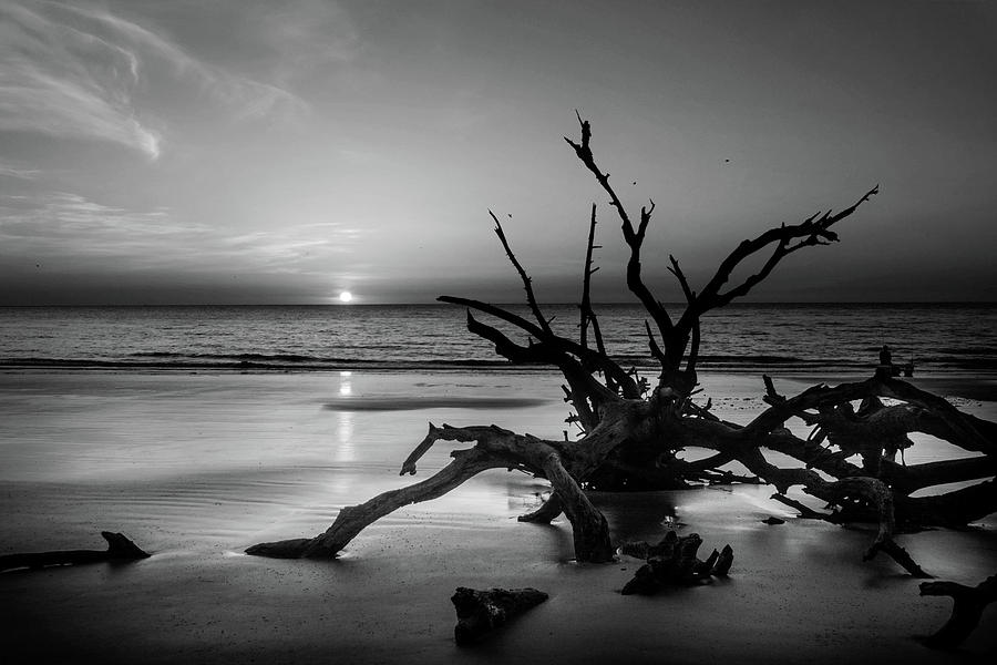 Sand Surf and Driftwood in Black and White Photograph by Greg and Chrystal Mimbs