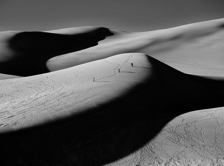 Sand Surfers Photograph by Rand Ningali