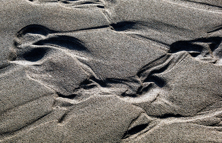 Sand texture - 192 Photograph by Tim Dussault