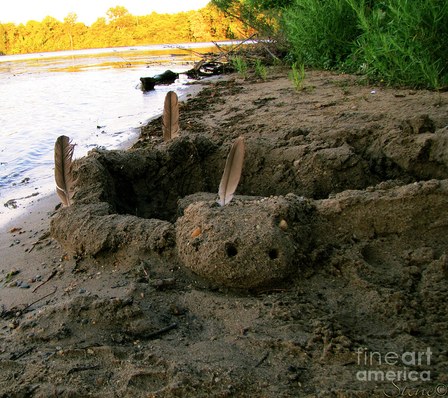 Sand Turtle Tribe of The Little People  Photograph by September Stone