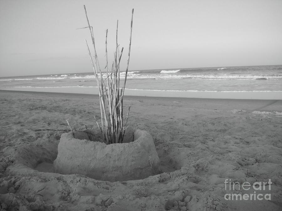 Sand Vase...... Photograph by WaLdEmAr BoRrErO