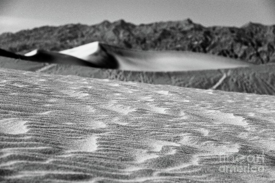 Sand Waves Photograph by Suzanne Oesterling
