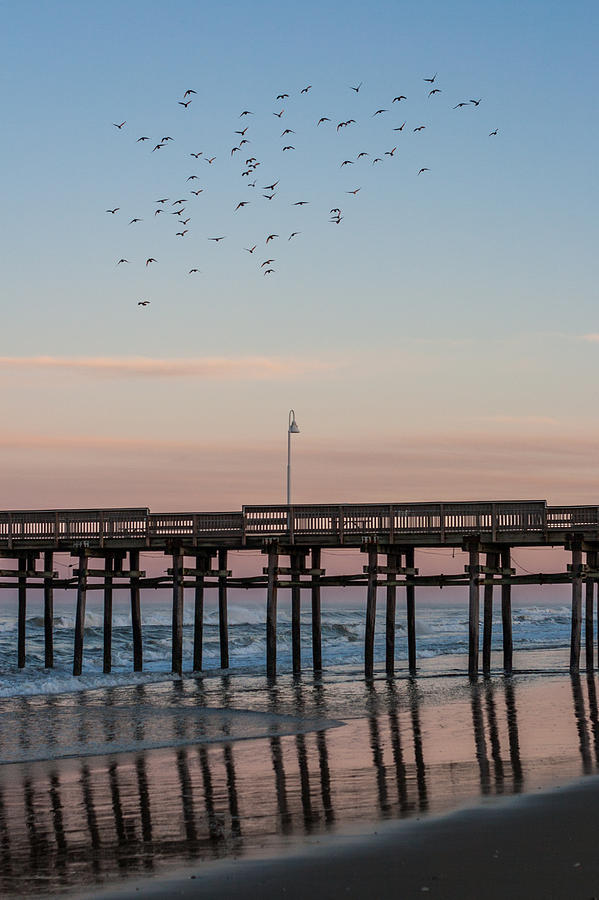 Sandbridge Serenity Photograph by AM Photography - Pixels