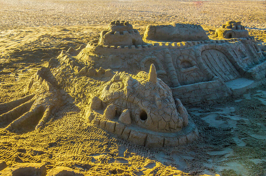 Sandcastle Dragon Photograph by Garry Gay