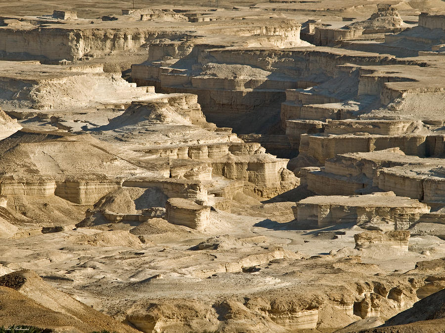 Desert Photograph - Sandcastles by Arik Baltinester