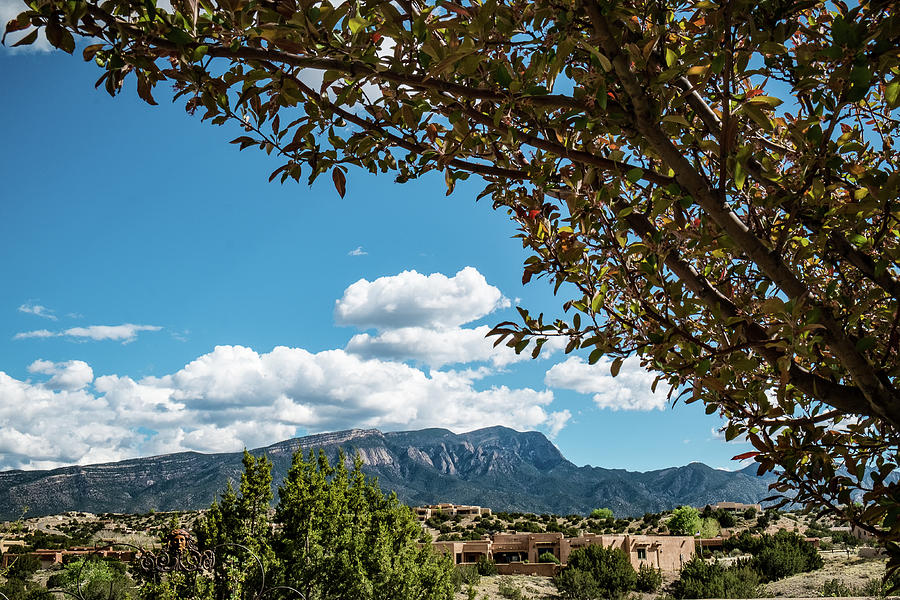 Sandias on a Summer Day Photograph by Mary Lee Dereske