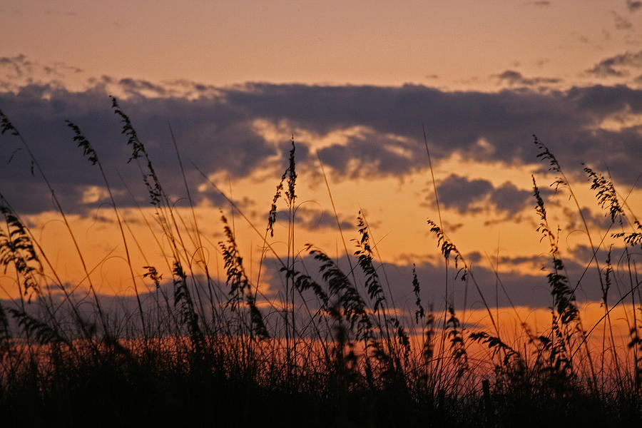 Sunset Photograph - Sandestin by David Campbell