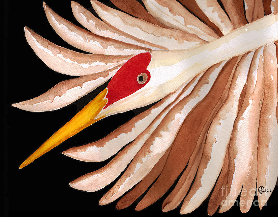 Sandhill Crane Watercolor Painting - Sandhill Crane by Alexandra Sanders Sandhill Crane Watercolor Painting - Sandhill Crane by Alexandra Sanders