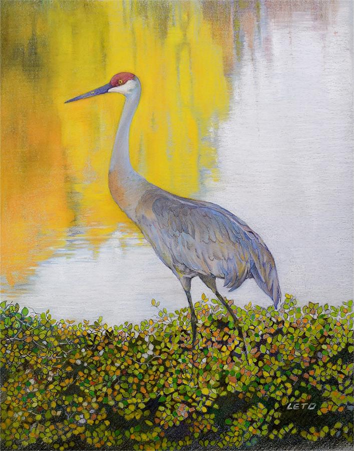 Sandhill Crane Painting By Anthony Leto - Fine Art America