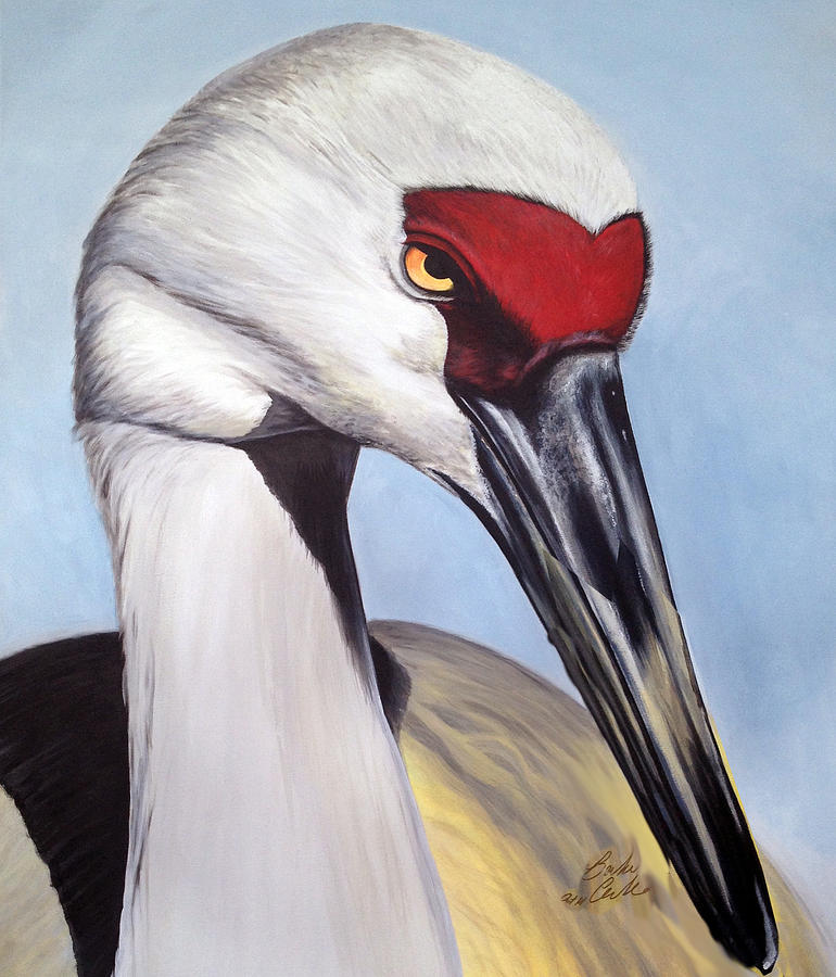 Sandhill Crane Painting by Barbara Andrews