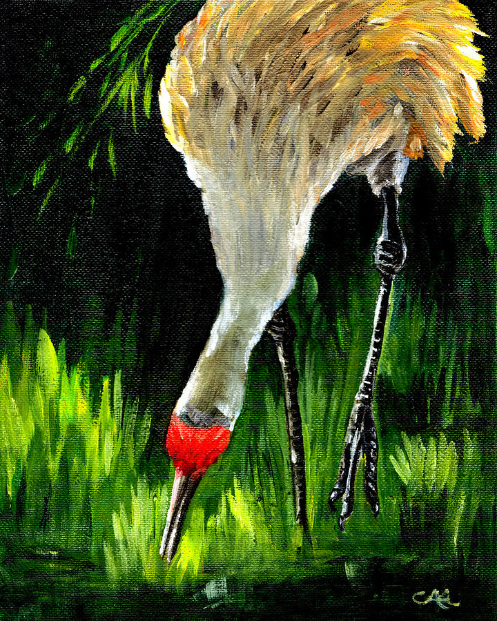 Bird Painting - Sandhill Crane by Carol Allen Anfinsen