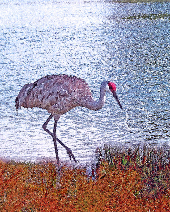 Bird Photograph - Sandhill Crane Stroll Painted by Adele Moscaritolo