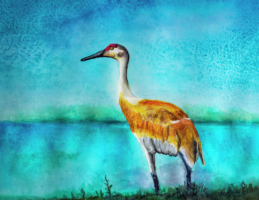 Sandhill Crane Watercolor Painting by Rick Mosher