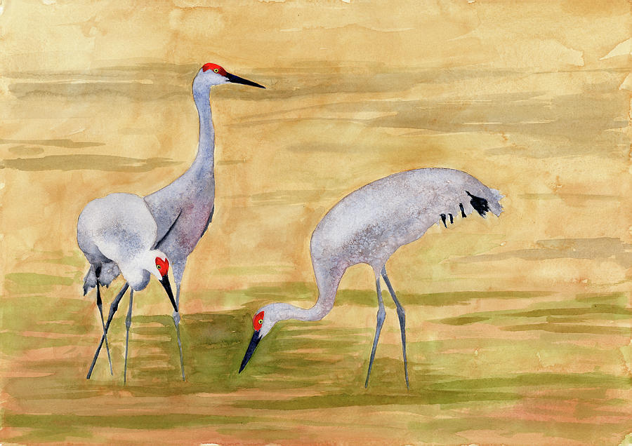 Sandhill Cranes Painting by Aaron Coe Fine Art America