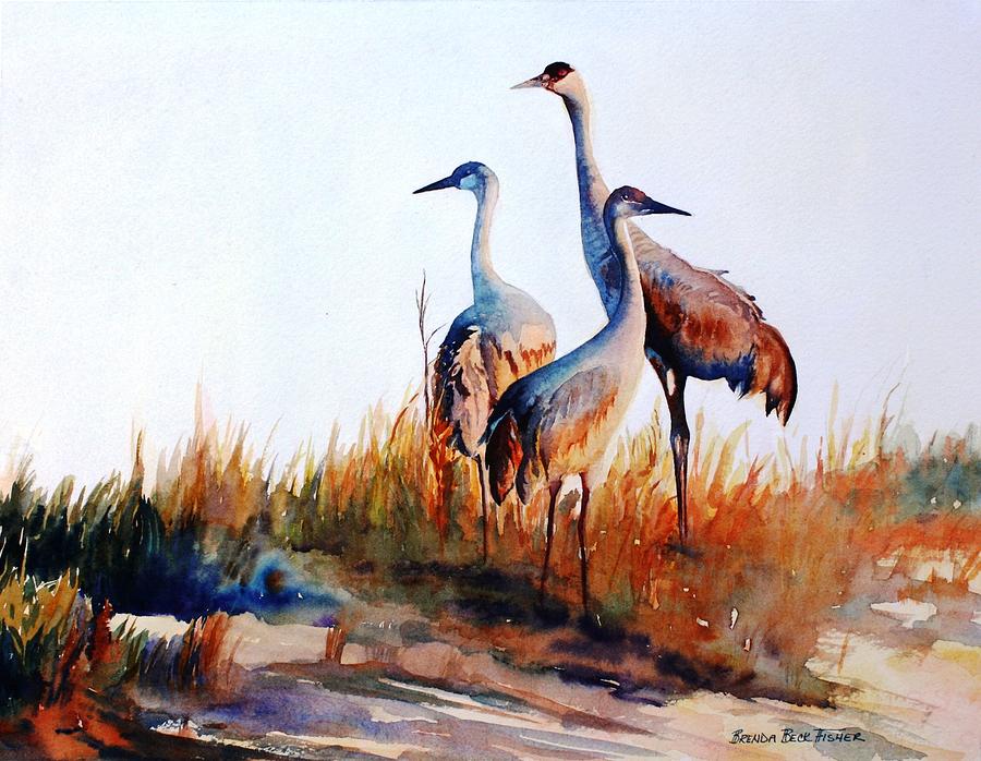 Bird Painting - Sandhill Cranes by Brenda Beck Fisher
