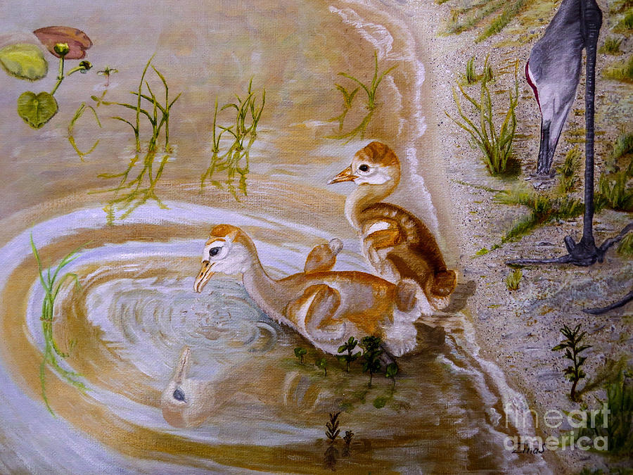 Bird Painting - Sandhill cranes chicks first bath by Zina Stromberg
