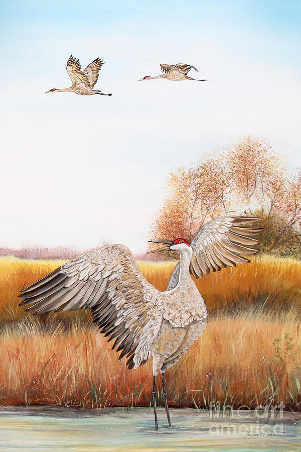 Sandhill Cranes-JP3161 Painting by Jean Plout