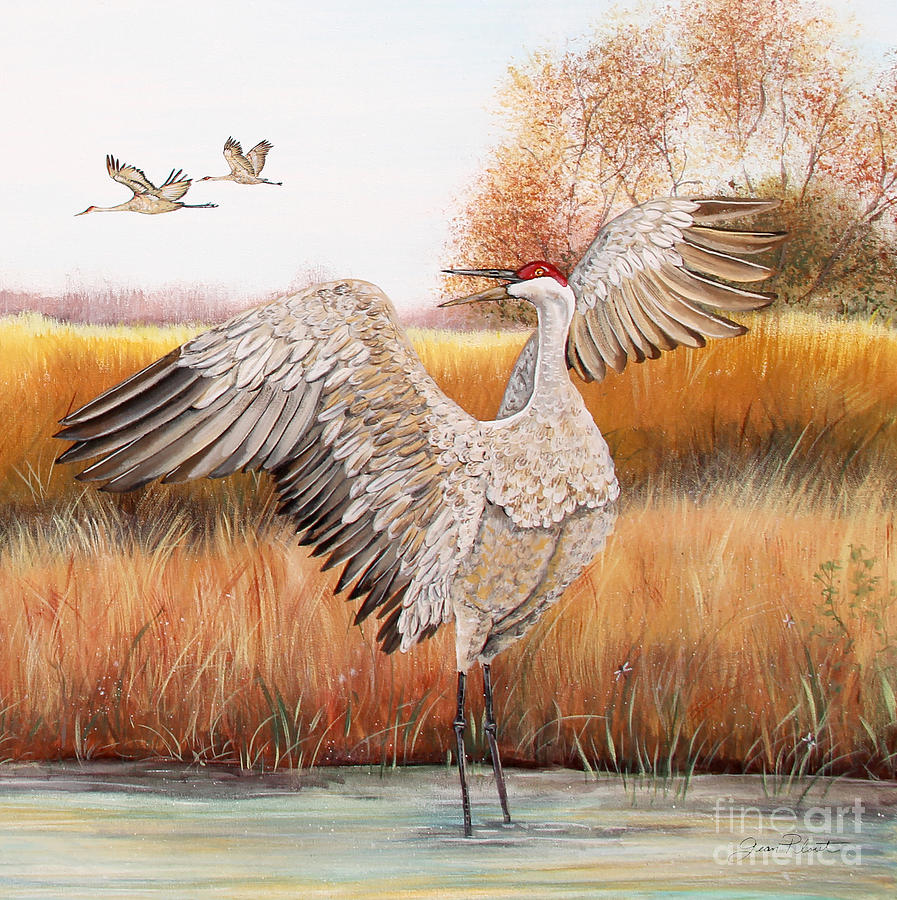 Sandhill Cranes-JP3163 Painting by Jean Plout
