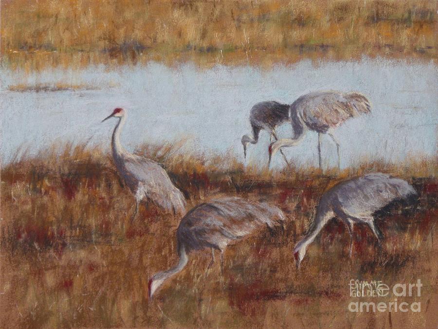 Sandhill Cranes, Morning Feeding Pastel by Jymme Golden
