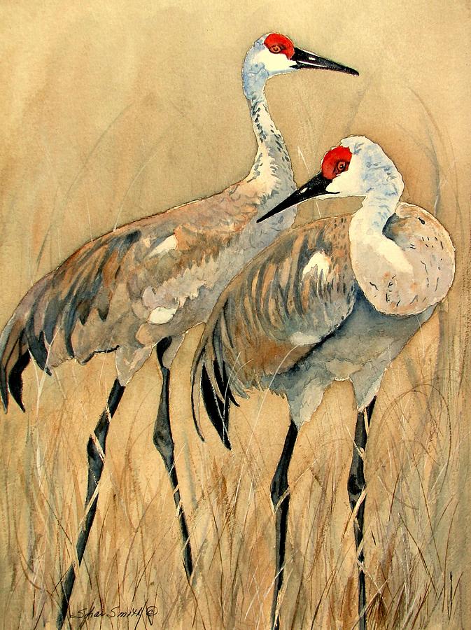 Sandhill Cranes Painting by Sharlotte Smith