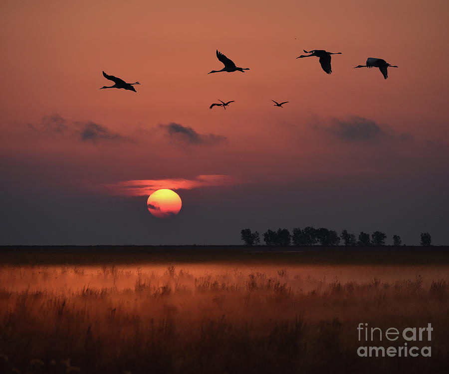 Sandhills over Metzgers by Charles Owens Sandhills over Metzgers by Charles Owens