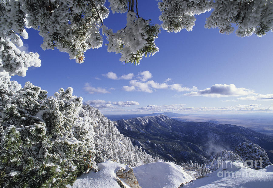 Sandia Mountain Wilderness- New Mexico Photograph by Kevin Shields