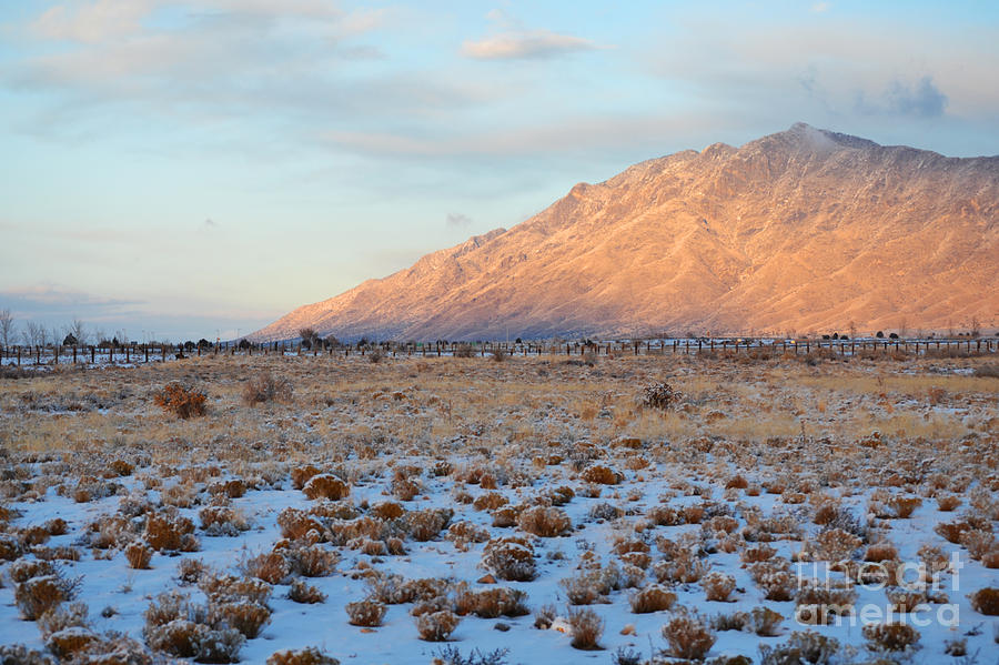 Sandia Mountains Winter Sunset Field by Andrea Hazel Ihlefeld