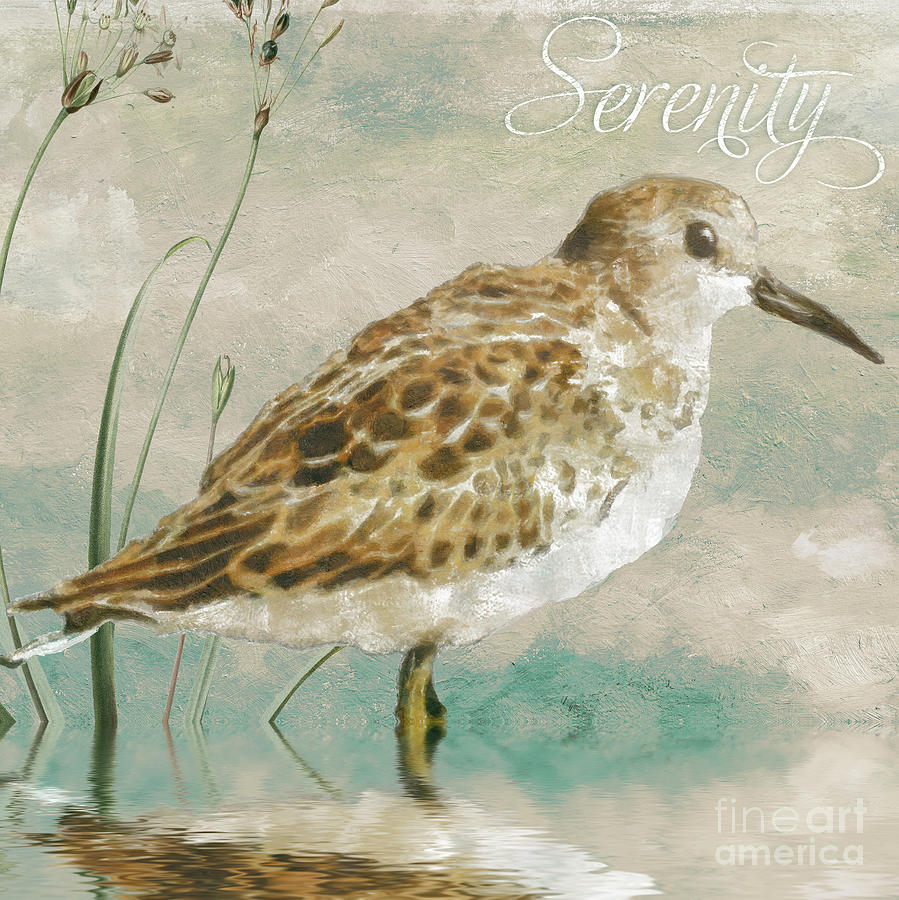 Sandpiper I Painting by Mindy Sommers