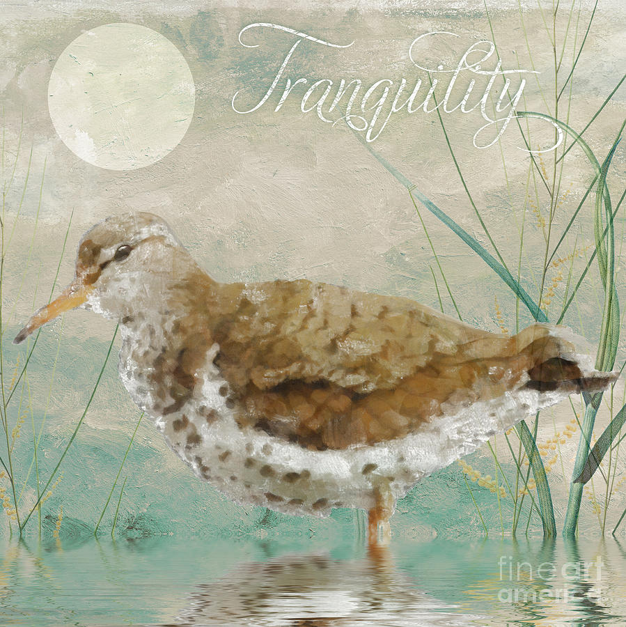 Sandpiper II Painting by Mindy Sommers