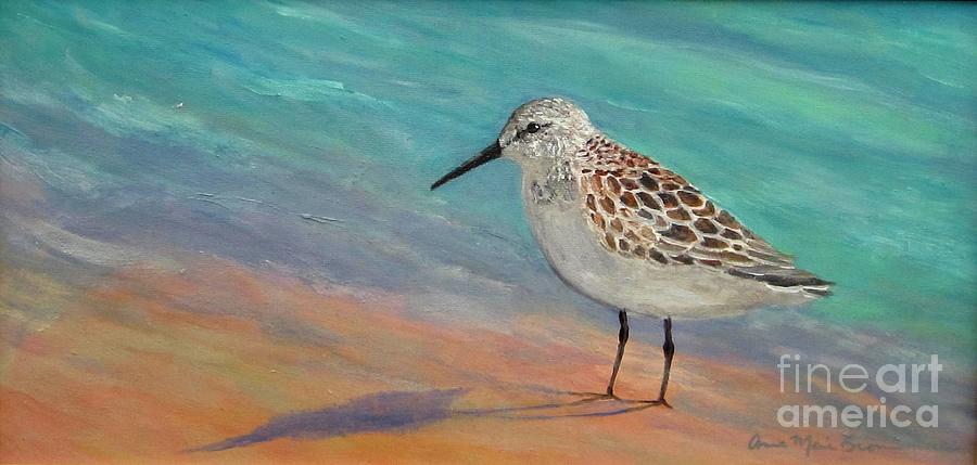 Sandpiper Sighting Painting by Anne Marie Brown