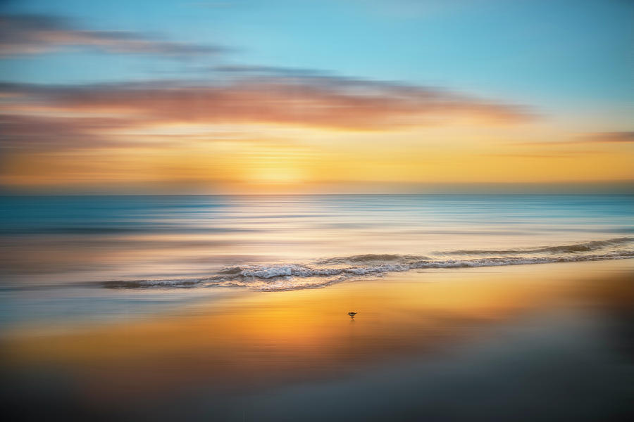 Sandpiper Sunrise Dreamscape Photograph by Debra and Dave Vanderlaan